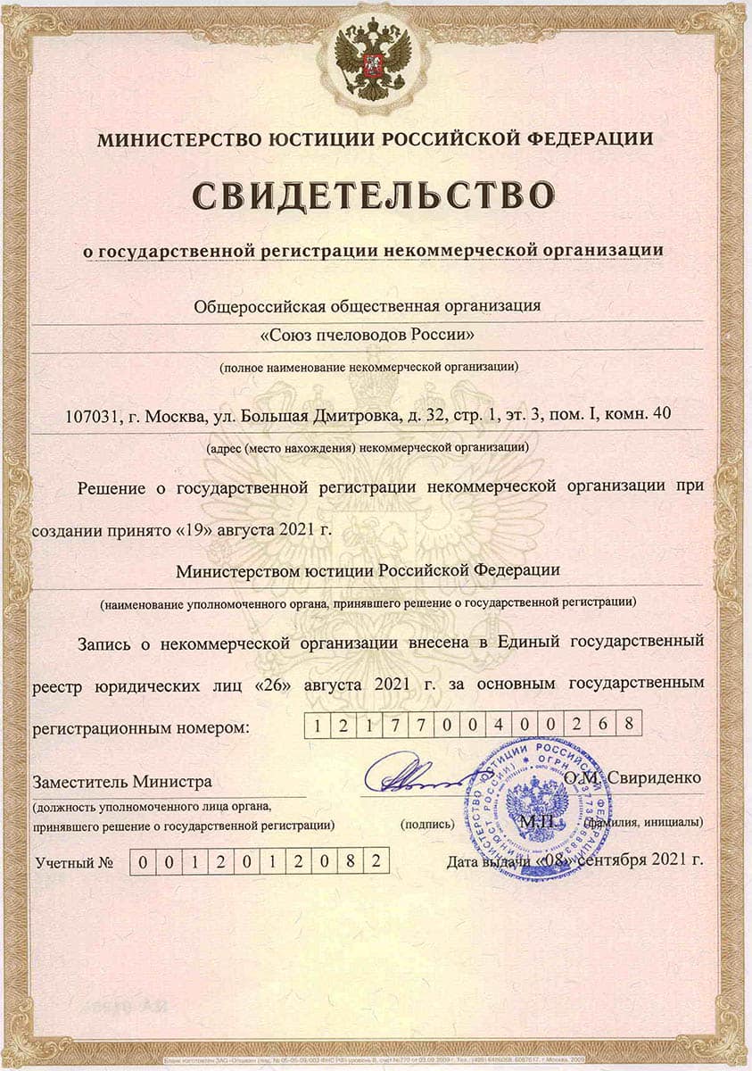 Свидетельство о государственной регистрации некоммерческой организации